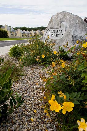 Ballyalla Grove, Ballyalla, Ennis